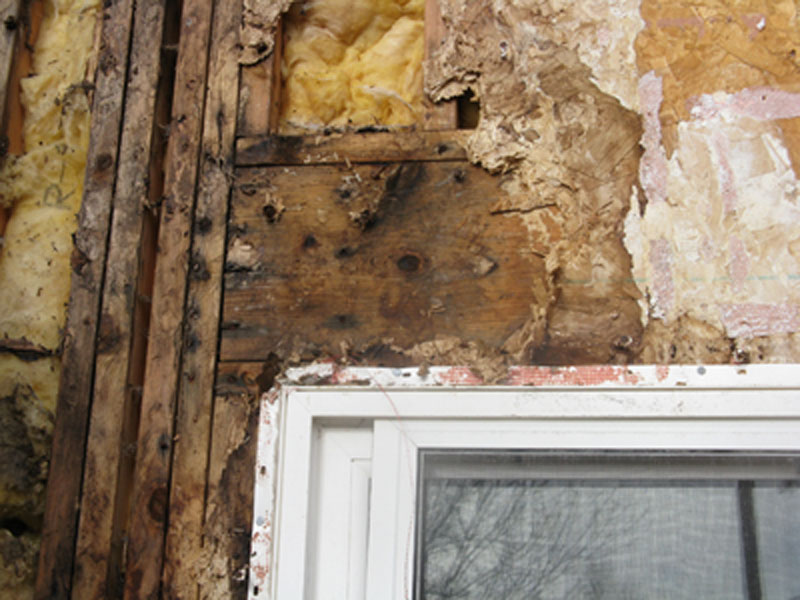 Colorado exterior stucco inspection specialists
