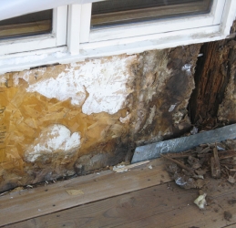 Inspecting your Colorado home or business for moisture and mold