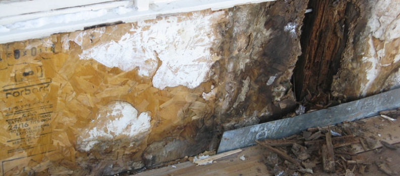 Causes for Water in Your Basement or Crawl Space